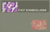 Fat Embolism