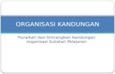 Organisasi Sukatan Pelajaran Bahasa Melayu BMM3101