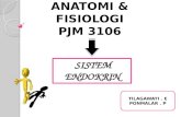 ANATOMI & FISIOLOGI