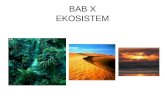 10. Ekosistem by Dyah Yuliastuti