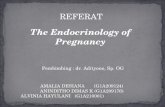 REFERAT ENDOCRINOLOGY OF PREGNANCY NEW PPT