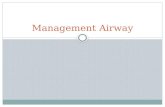 Management Airway
