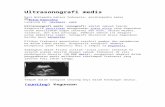 Ultrasonografi medis