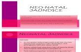 Neo Natal Jaundice