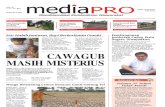 Media Pro 36