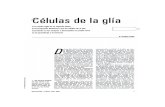 Seminario 6 - Celulas de La Glia