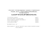 Leptospirosis Report USM