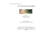 Pterigium FIX CR