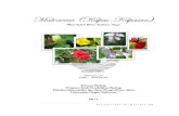 Malvaceae Muliana GH