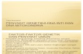 Penyakit Genetika DNA Inti Dan DNA Mitokondria