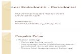 Lesi Endodontik - Periodontal