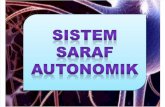 sistem saraf autonomik