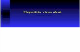 Hepatitis Virus Akut