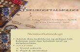 11a - Neurooftalmologi 1