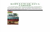Kopi Luwak Java Coffee