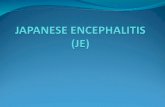 JAPANESE ENCEPHALITIS (JE).ppt