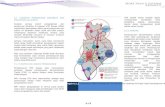 Draf Rancangan Tempatan Daerah Kangar 2012-2025 - Sektor Pengangkutan dan Pengurusan Lalulintas
