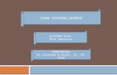 Presentasi Kasus Coma Hiperglikemik