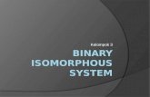 Binary Isomorphous System