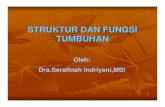 Organ Struktur&Fungsi Tumbuhan Utk Biodas=SI