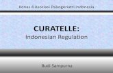 Prof Budi - BS CURATELLE Indonesian Regulation Konas API 10april11