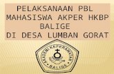 Pelaksanaan Pbl Mahasiswa Akper Hkbp Balige