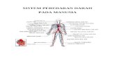 Anatomi Sistem Predaran Darah