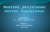 Anatomi Perjalanan Nervus Hypoglosus