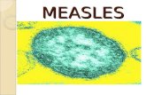 Assignment Mach 1213 (Measles)03