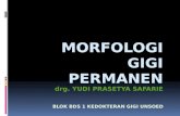 l7-Morfologi Gigi Permanen Fix
