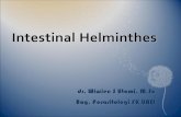 Intestinal Helminthes [Dr. Wiwien]