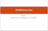 Embriologi Dr Rosalia