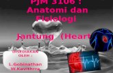 Sistem Jantung (PJM3106)