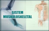 Biologi - Sistem Muskuloskeletal