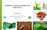 Herbal Atasi Diabetes Melitus