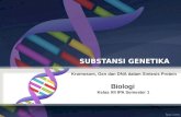 Substansi genetika HS XII