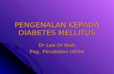 Pengenalan kepada diabetes mellitus