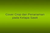 5 cover crop dan penanaman pada kelapa sawit