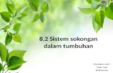 8.2 sistem sokongan dalam tumbuhan