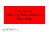 Lesson 3.4 part 1