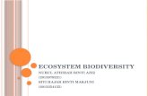 Ecosystem biodiversity
