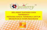 Optiberry new 2012 05-09