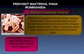 (3a) peny bakterial anthrax, brucellosis, se