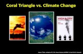 Coral triangle vs climate change