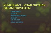 GEOGRAFI STPM PENGGAL3 - KITAR NUTRIEN DALAM EKOSISTEM
