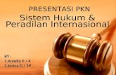 Sistem Hukum Internasional