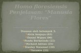 Homo Floresiensis (Bahan Ulangan Sejarah)