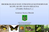 Bioekologi dan strategi konservasi kupu kupu raja helena