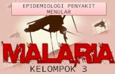 MALARIA - epidemiologi penyakit menular