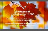 Concepto Residencial Liquidambar 1600